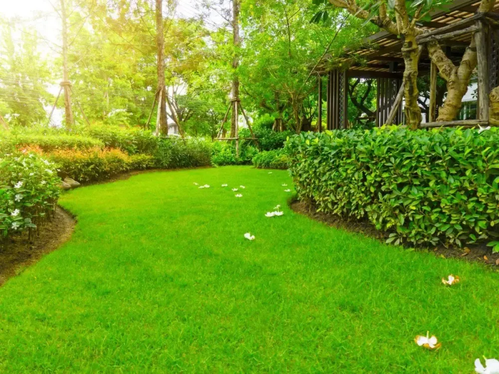 Création de jardin